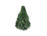 Nobilistanne kaufen – Mini-Weihnachtsbaum Abies procera auf Holzscheibe | echt, Höhe 40 cm - Wurzelwerk Design