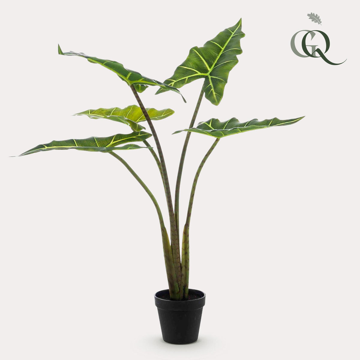 Kunstpflanze Alocasia Frydek von Everspring, 80cm oder 120cm, realistische grüne Pflanze für Dekorationen