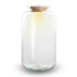 Everspring Sven XL Terrariumflasche mit Beleuchtung, Durchmesser 23 cm, Höhe 43 cm, stilvolle Standard-Design, ideal für Pflanzen und Tiere