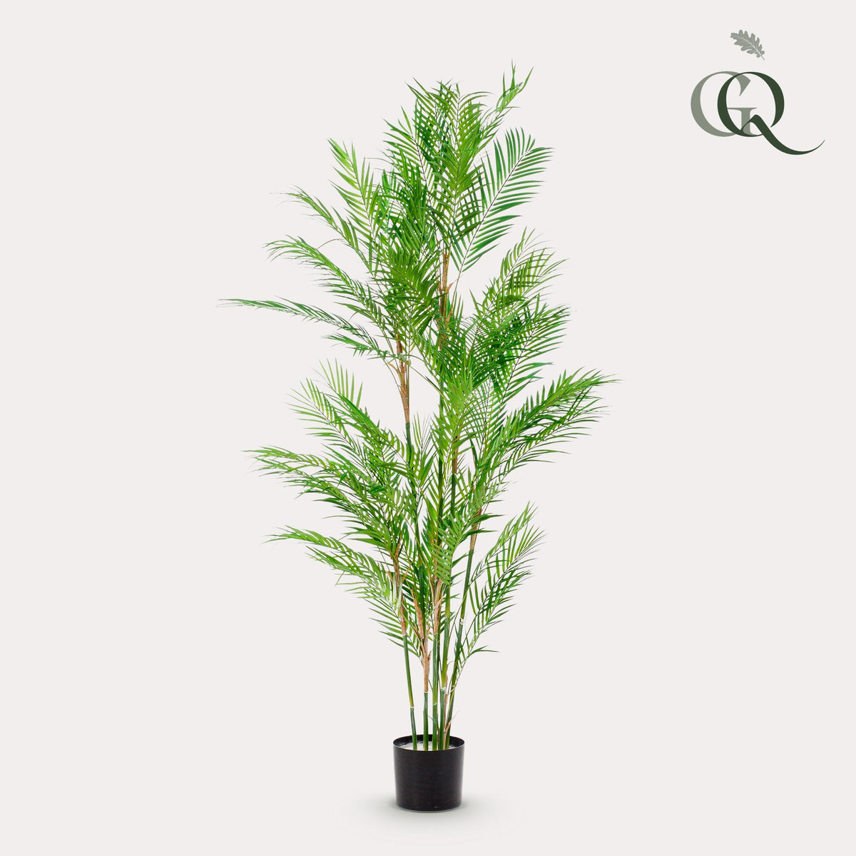 Kunstpflanze Chamaedorea Elegans, Bergpalme, 180 cm, Everspring, detailreiche, realistische Zimmerpflanze aus Kunststoff