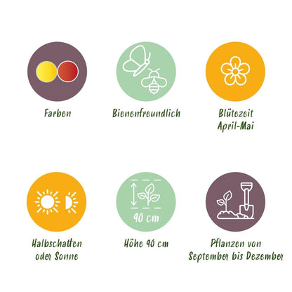 Blumenzwiebeln Fritillaria Imperialis Mix | 3 Stück Gelb &amp; Orange – Zwiebelgröße 18/20 – XXL Pack - Wurzelwerk Design