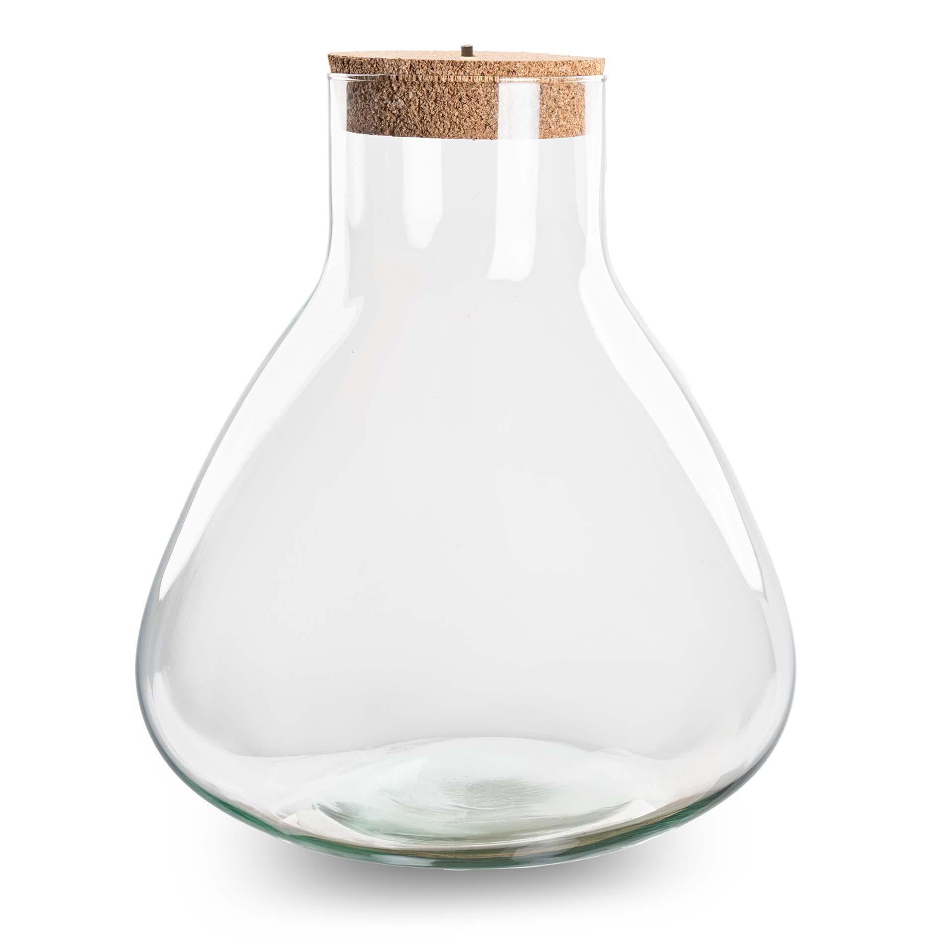 Terrariumflasche mit Beleuchtung Sam XL von Everspring, Ø 30 cm, Höhe 32 cm, transparent mit LED-Licht, dekoratives Terrarienaccessoire