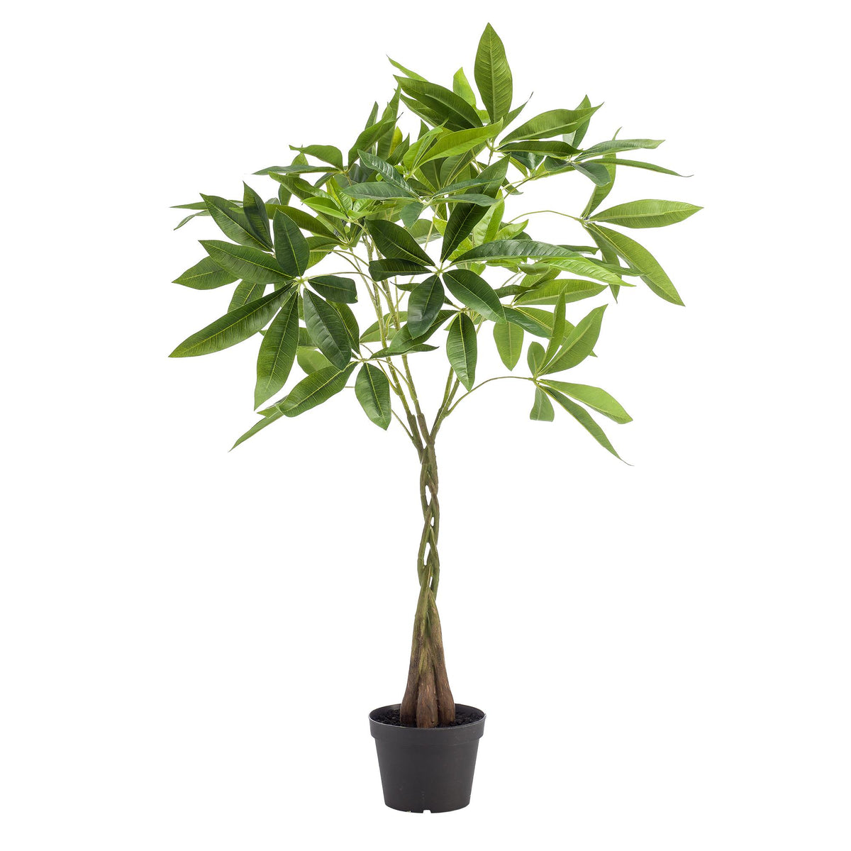 Kunstpflanze Pachira Aquatica von Everspring in verschiedenen Größen, realistische grüne Pflanzen für Dekorationen.