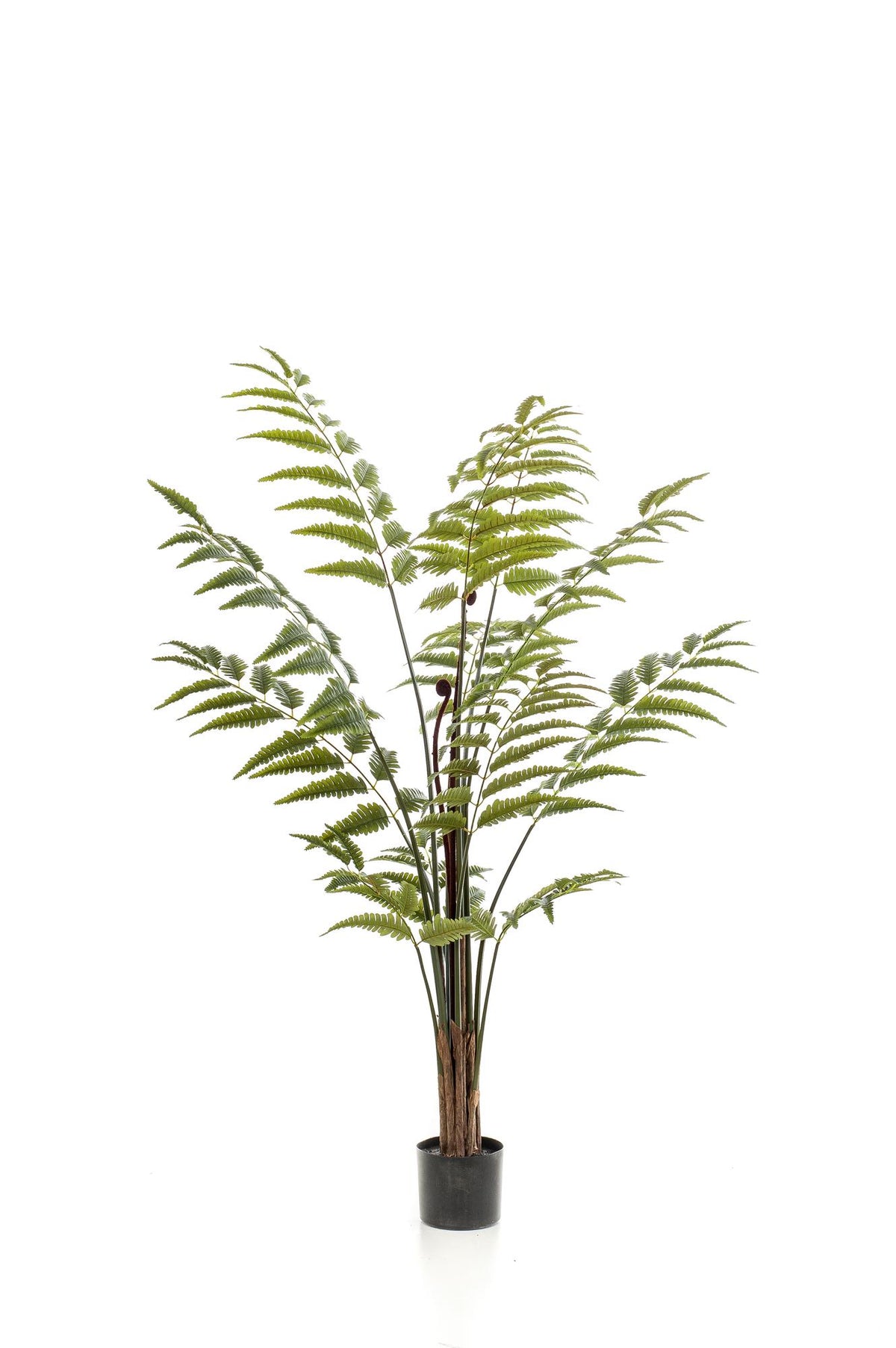 Kunstpflanze Lederfarn Rumohra Adiantiformis, 150 cm, Everspring, detailreiche grüne Pflanze für Innen- und Außenbereich