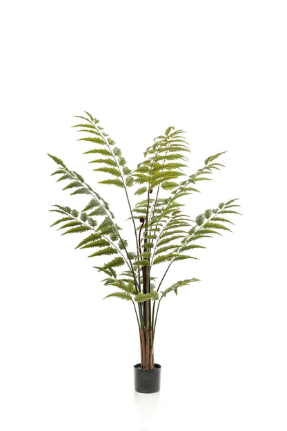 Kunstpflanze Lederfarn Rumohra Adiantiformis, 150 cm, Everspring, detailreiche grüne Pflanze für Innen- und Außenbereich