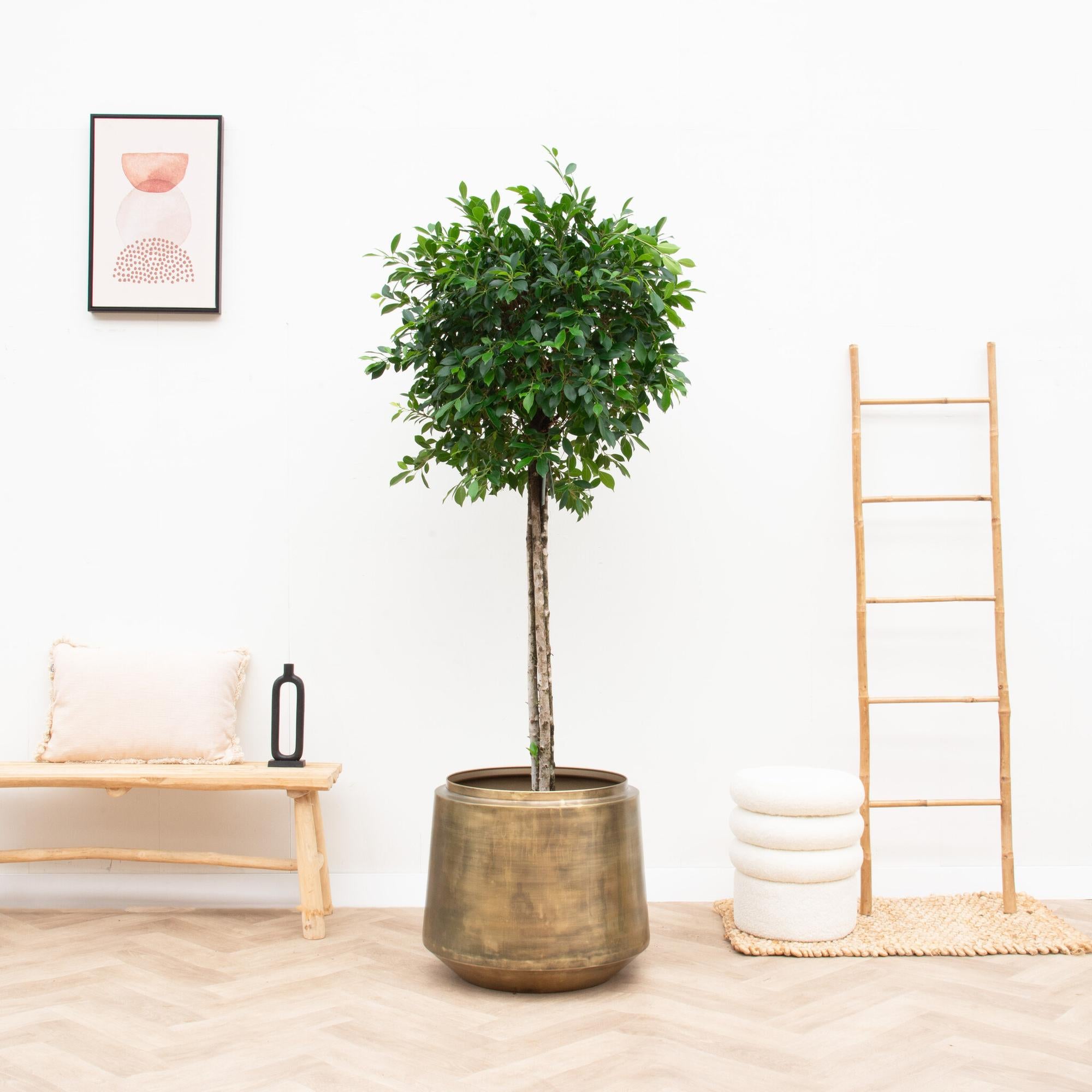 Topf Indigo Vintage Gold - D58 x H51