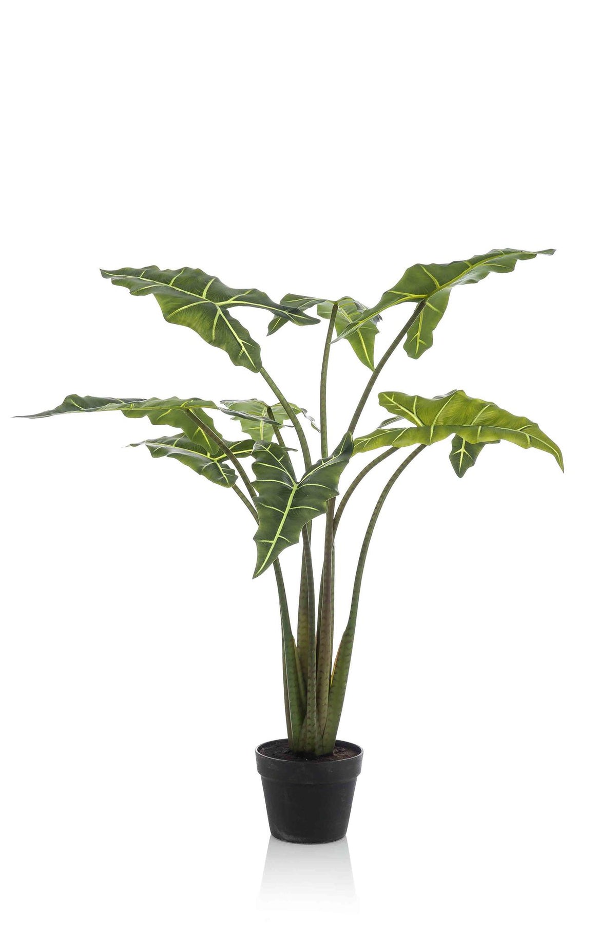 Kunstpflanze Alocasia Frydek von Everspring, 80cm oder 120cm hoch, detailreiche grüne Blätter, perfekte Dekorationspflanze
