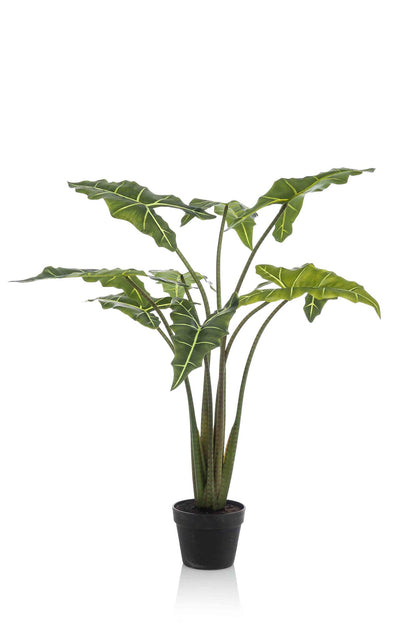 Kunstpflanze Alocasia Frydek von Everspring, 80cm oder 120cm hoch, detailreiche grüne Blätter, perfekte Dekorationspflanze