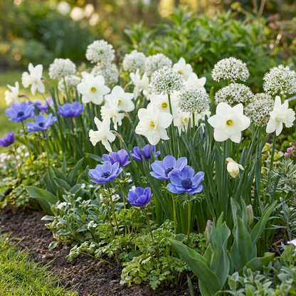 Blumenzwiebel-Mischung Sonnengarten – online kaufen | 35 bis 280 Zwiebeln für vollsonnige Standorte – Wurzelwerk Design