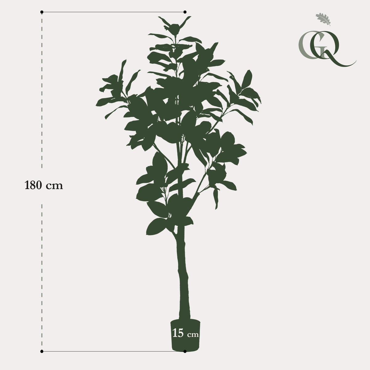 Kunstpflanze Magnolia Grandiflora von Everspring, 150cm oder 180cm, detailreiche grüne Blätter und große weiße Blüten
