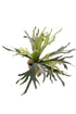 Everspring Kunstpflanze, Staghorn Farn, Geweihfarn, 50 cm, detailreiche, grüne Dekorationspflanze, realistisch gestaltet