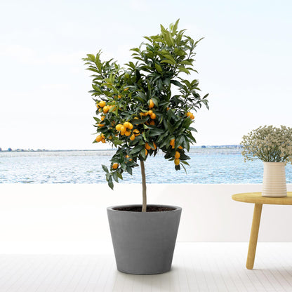 Grauer Pflanzkübel Bucket Grey S von Everspring, 50x40 cm, aus robustem Material, ideal für Zimmer- oder Balkonpflanzen.