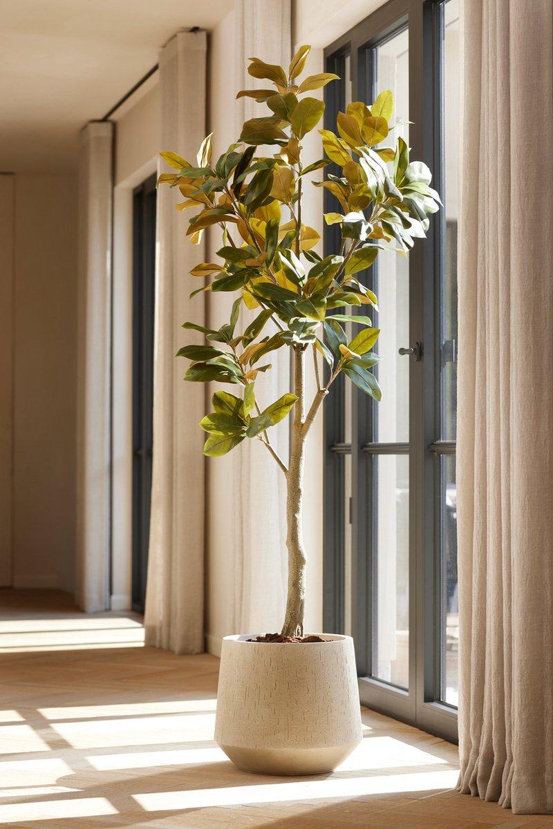 Kunstpflanze Magnolia Denudata, 150 cm hoch, Everspring, mit grünen Blättern und blühenden weißen Blüten.