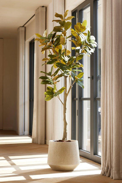 Kunstpflanze Magnolia Denudata, 150 cm hoch, Everspring, mit grünen Blättern und blühenden weißen Blüten.