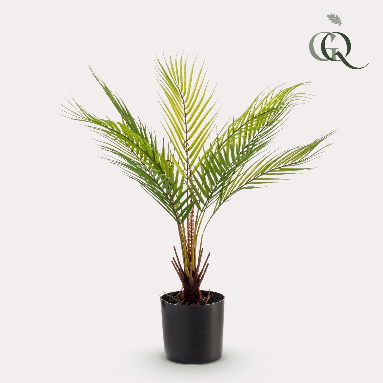 Kunstpflanze Chamaedorea Elegans Bergpalme von Everspring, 50 cm hoch, detailreiche künstliche Zimmerpflanze