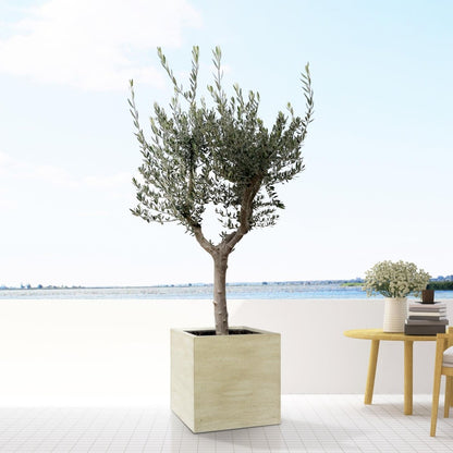 Block Beige Washed - M - D40 x H40 - Wurzelwerk Design