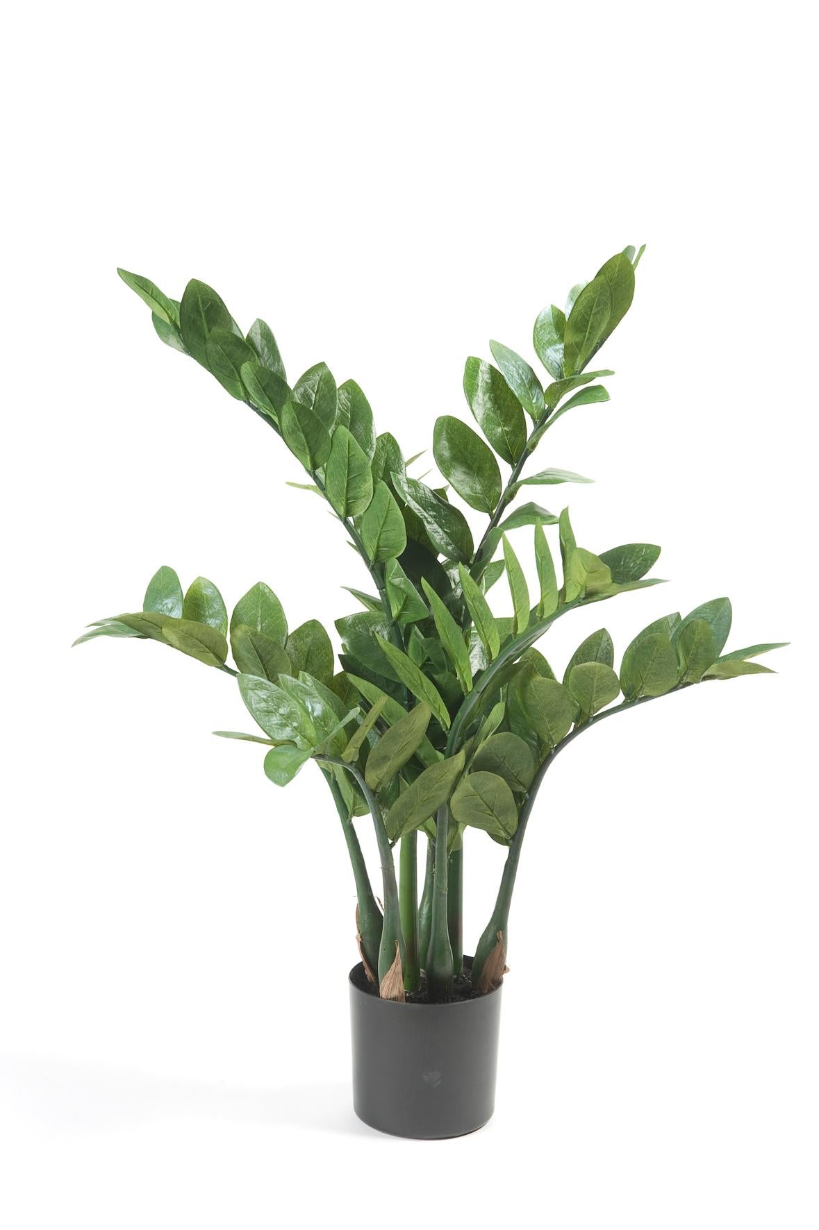 Kunstpflanze Zamioculcas, Zimmerpalme von Everspring, 70 cm hoch, grüne Blätter, perfekt für Wohnräume.