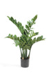 Kunstpflanze Zamioculcas, Zimmerpalme von Everspring, 70 cm hoch, grüne Blätter, perfekt für Wohnräume.