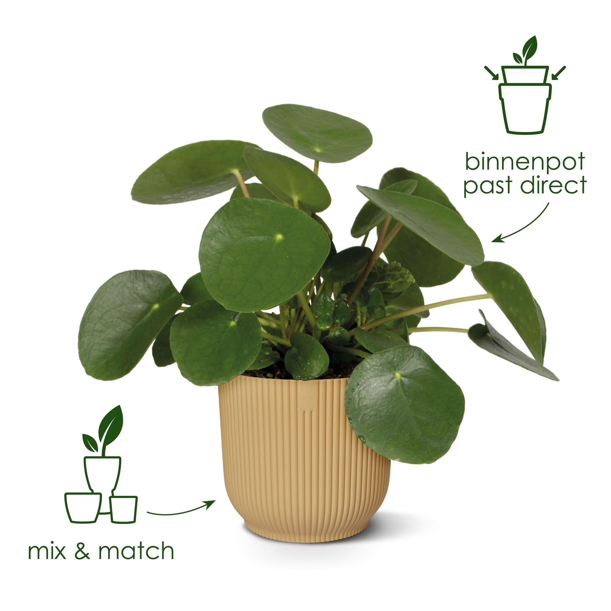 topf elho Vibes Fold Round rose - D14 x H13