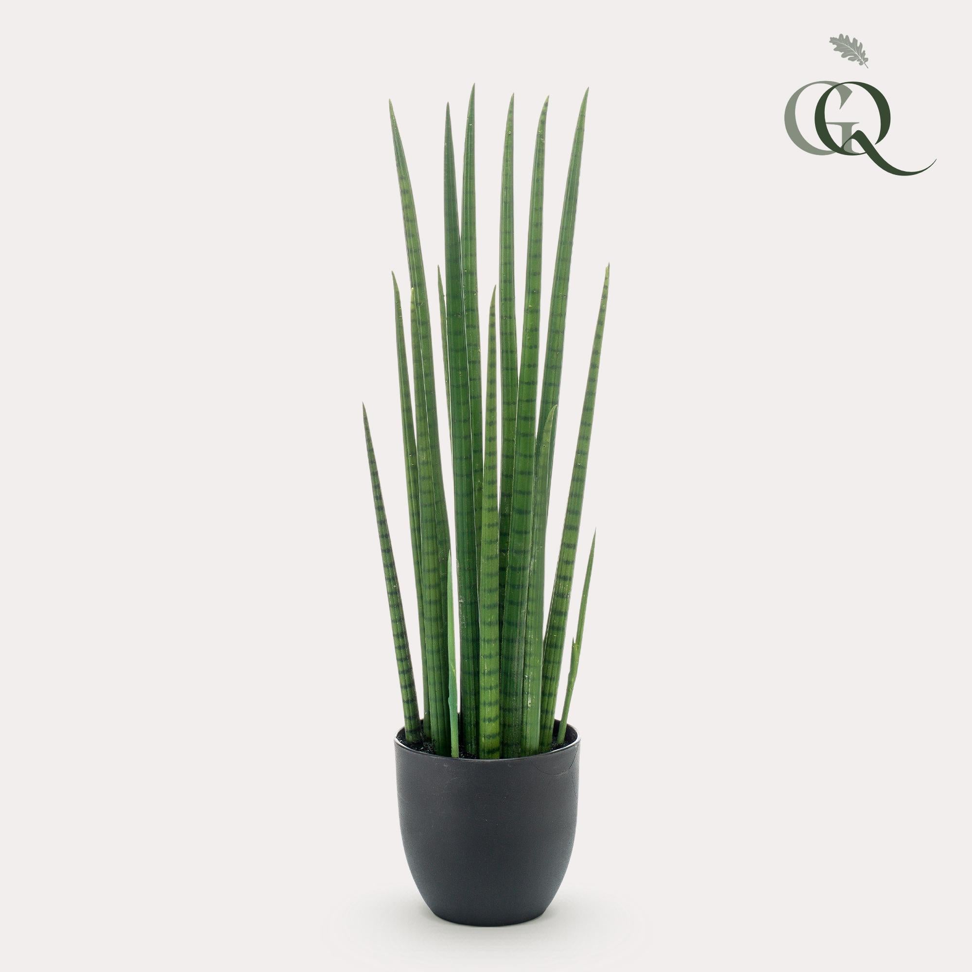 Kunstpflanze Sansevieria Cylindrica, Frauenzunge, 70cm, Everspring, dekorative, grüne Zimmerpflanze aus Kunststoff