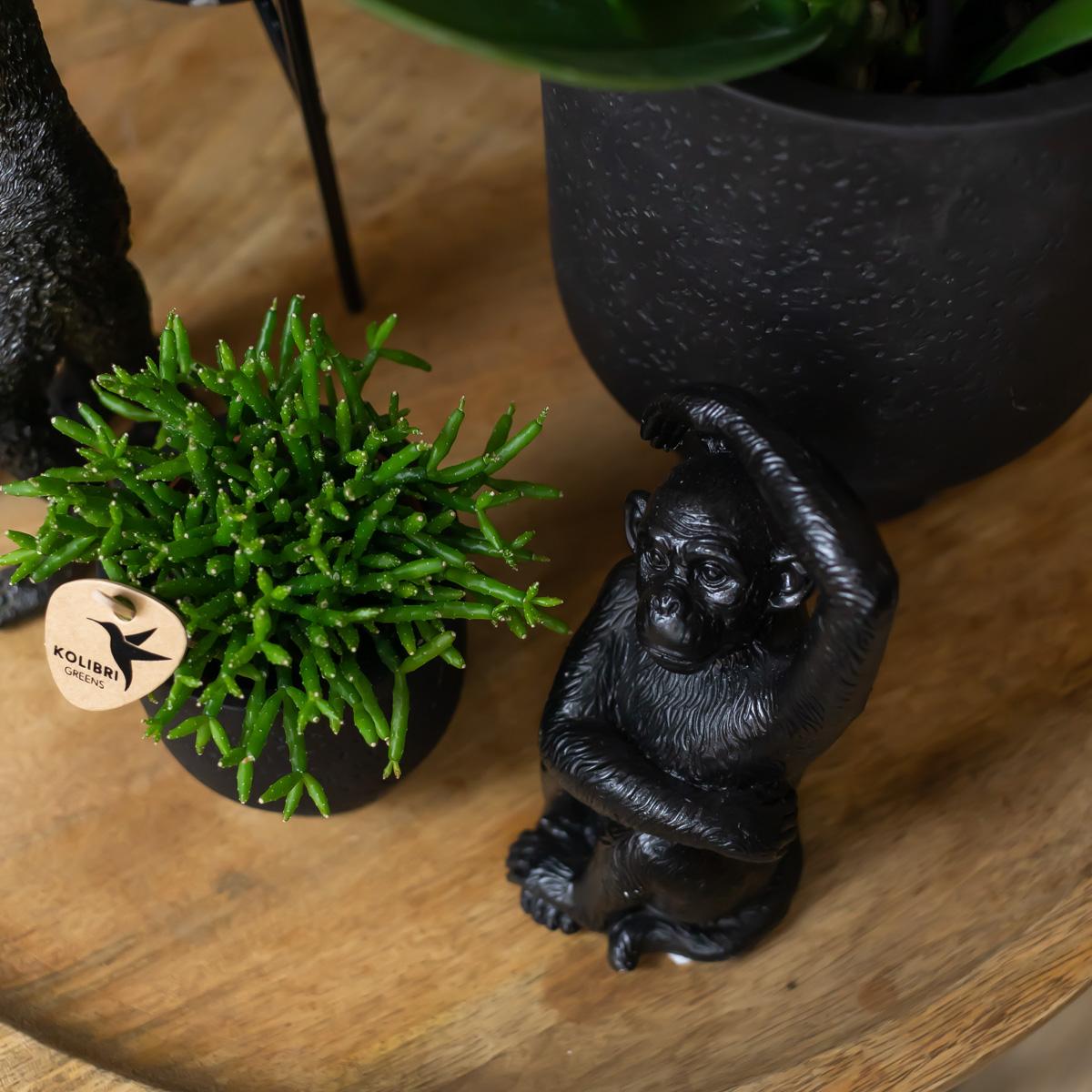 Deko - Skulptur Sitzender Affe - Schwarz - Wurzelwerk Design