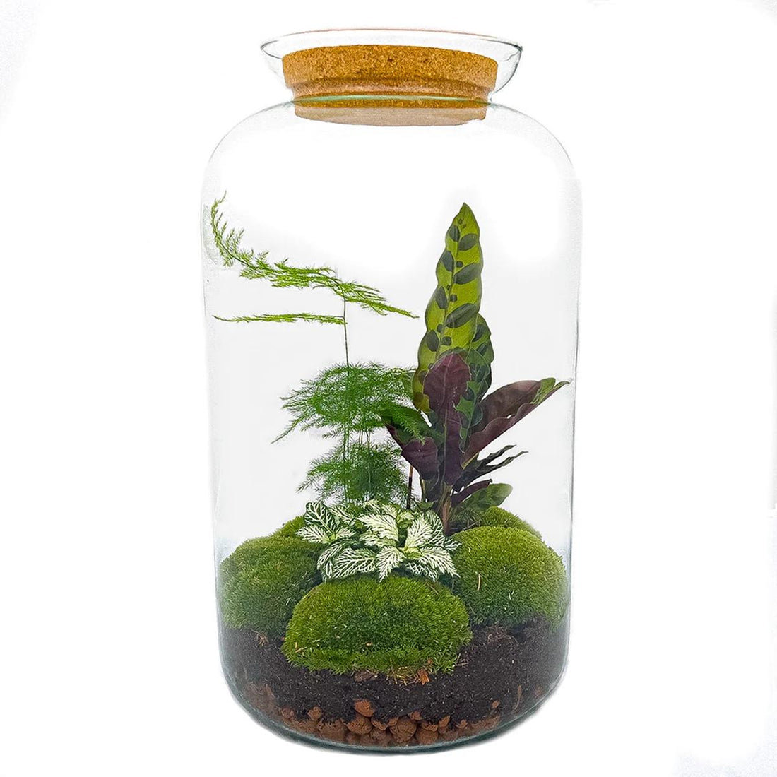 Everspring Flaschengarten Botanical Sven XL mit Rake, Schaufel und Tweezer, 43 cm hoch, für kreative Pflanzenarrangements