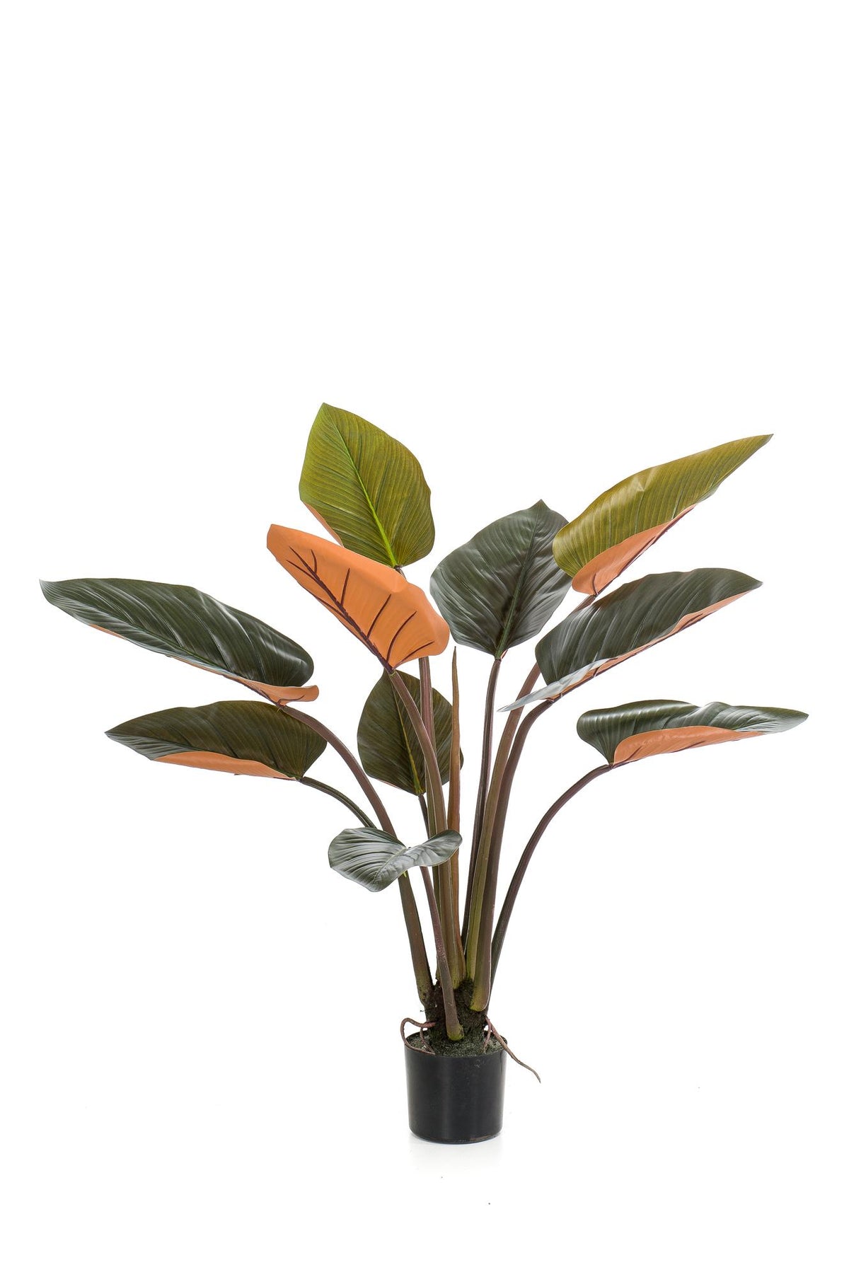Kunstpflanze Philodendron von Everspring, 45cm bis 120cm hohe, realistisch wirkende grüne Pflanze als Dekorationsdetail