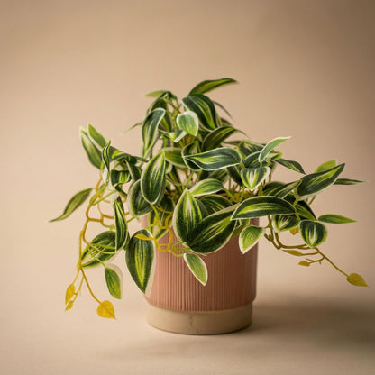 Tradescantia Grün/Weiß im Topf - 19 cm - Kunstpflanze