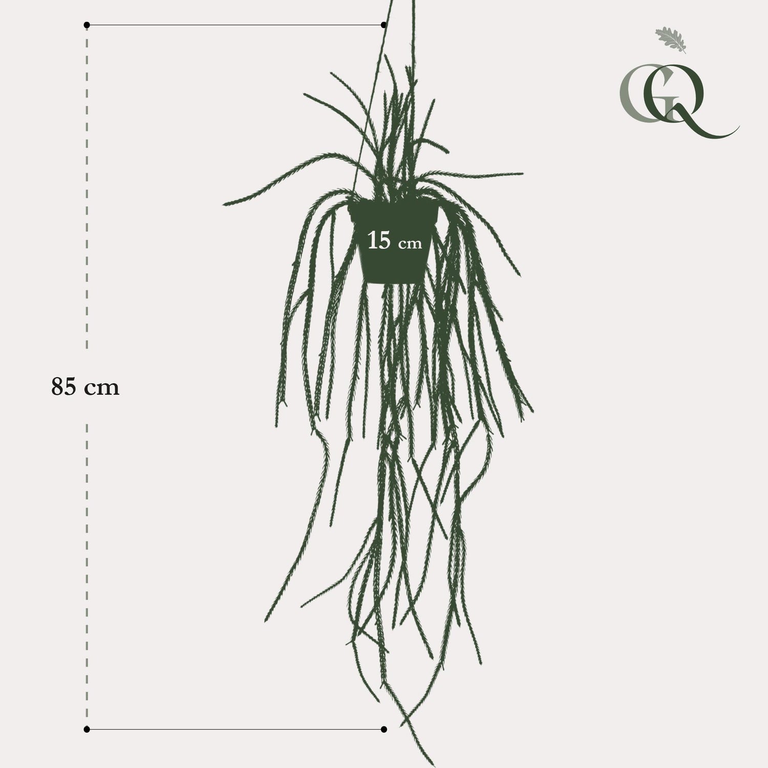 Kunstpflanze Rhipsalis, Korallenkaktus, 85 cm, Everspring, detailreiche, grüne Kunststoffpflanze für Dekor und Raumgestaltung
