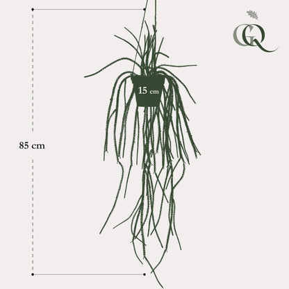 Kunstpflanze Rhipsalis, Korallenkaktus, 85 cm, Everspring, detailreiche, grüne Kunststoffpflanze für Dekor und Raumgestaltung