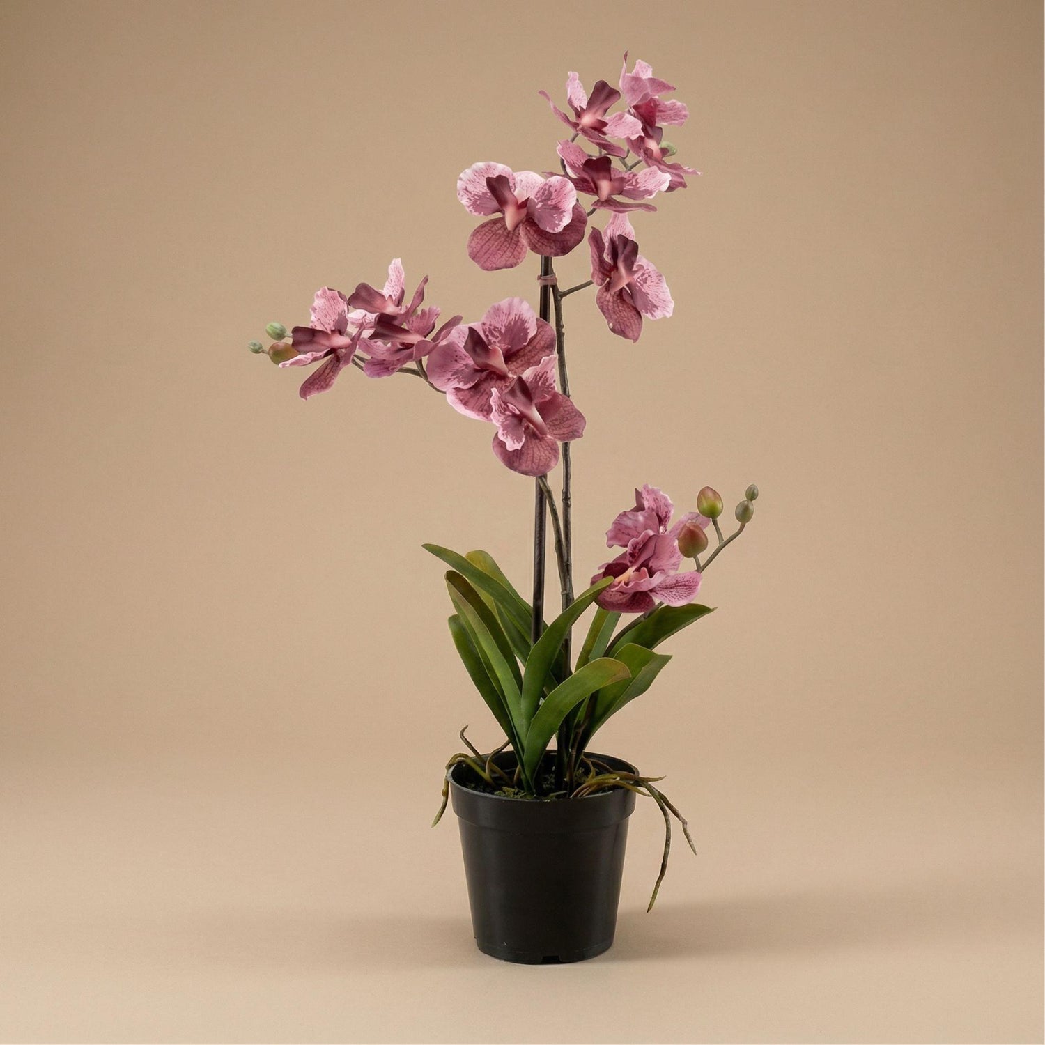 Künstliche Vanda Orchidee 60 cm altrosa im Topf