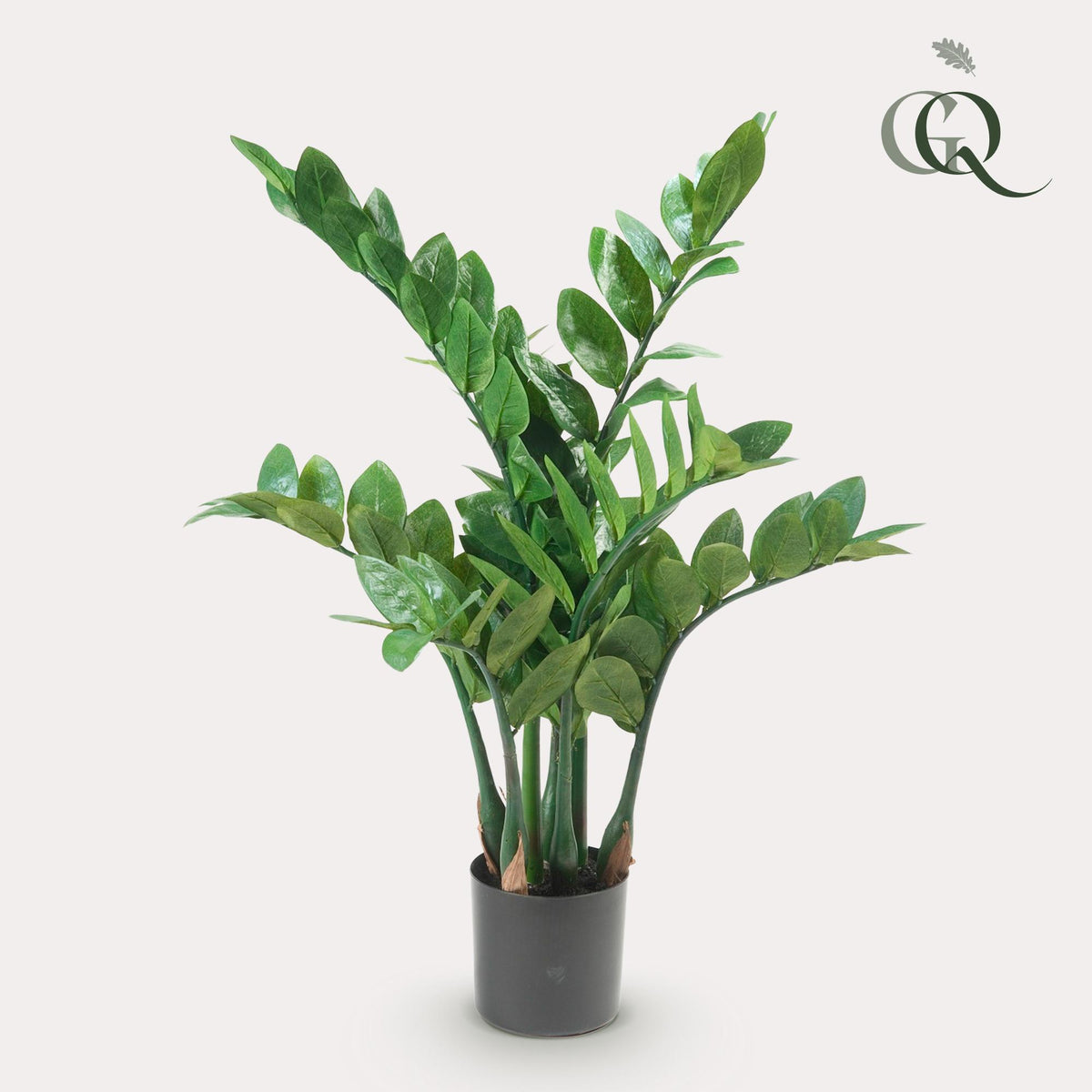 Kunstpflanze Zamioculcas Zimmerpalme, 70 cm, Everspring, grüner Blätter, realistische Zimmerpflanze für Innenräume