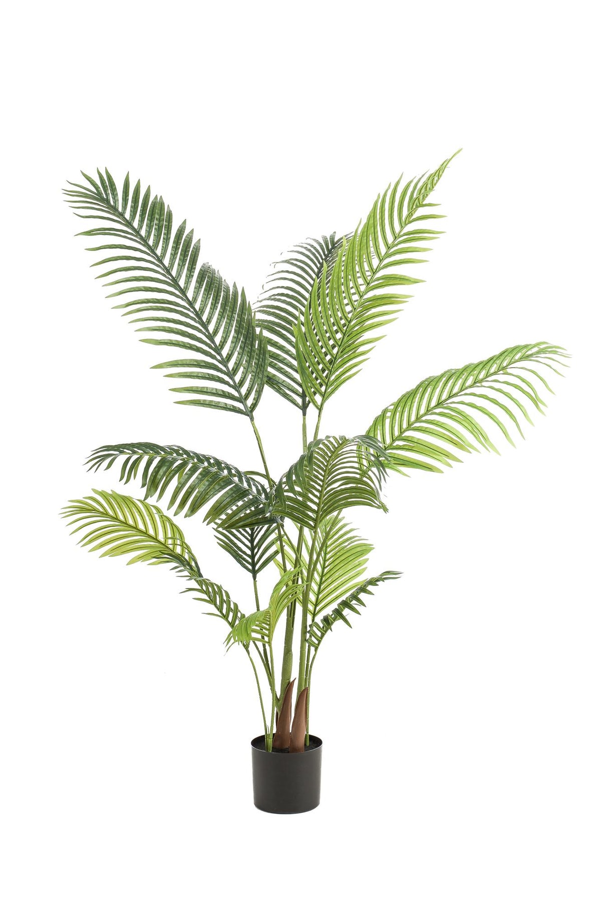 Everspring Kunstpflanze Howea Forsteriana, 140cm oder 160cm, grüne Topfpflanze für Innenbereich, detailreiche Blätter