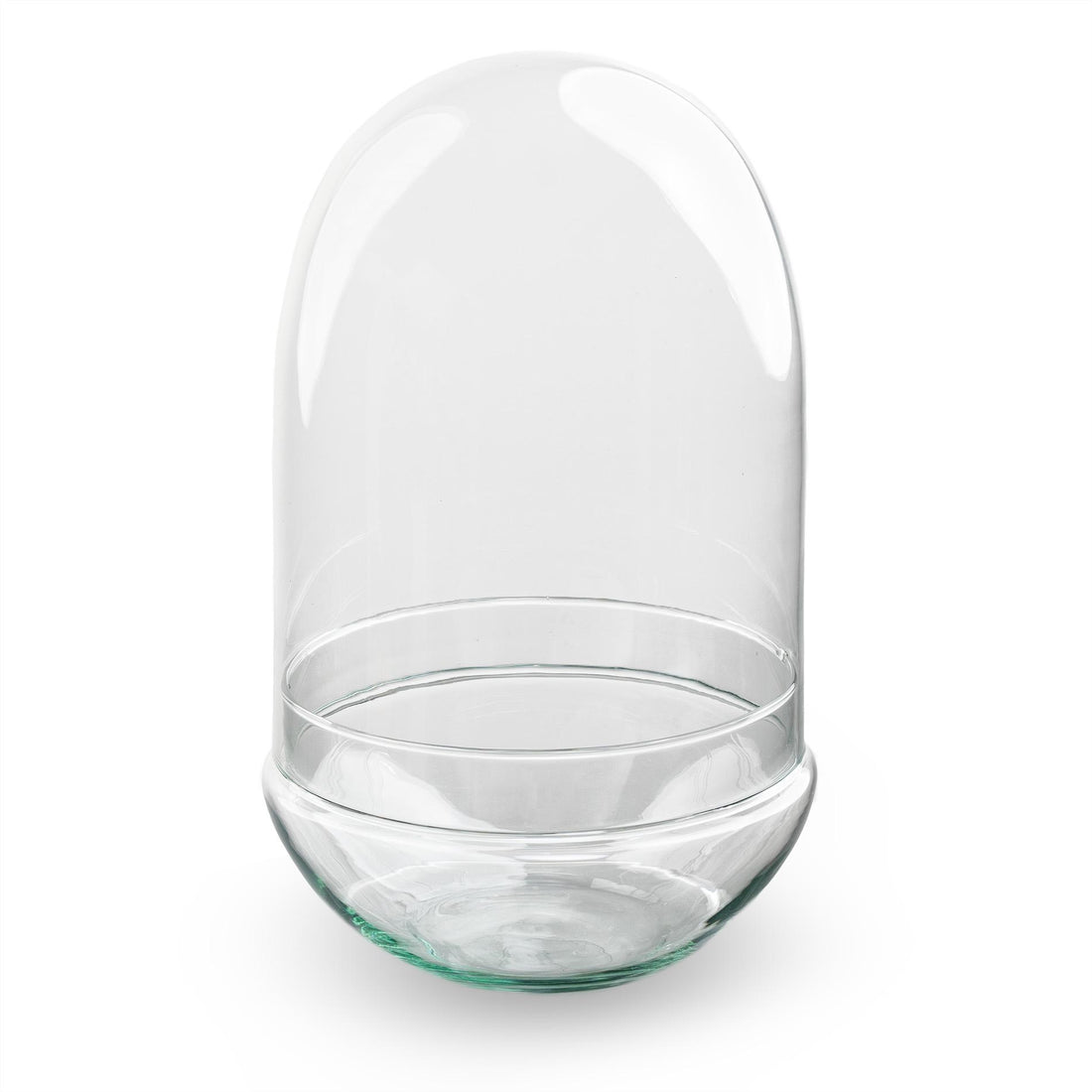 Zweiteilige Everspring Terrariumflasche Ei XL, Durchmesser 17,5 cm, Höhe 30 cm, für Terrarien und Pflanzen.