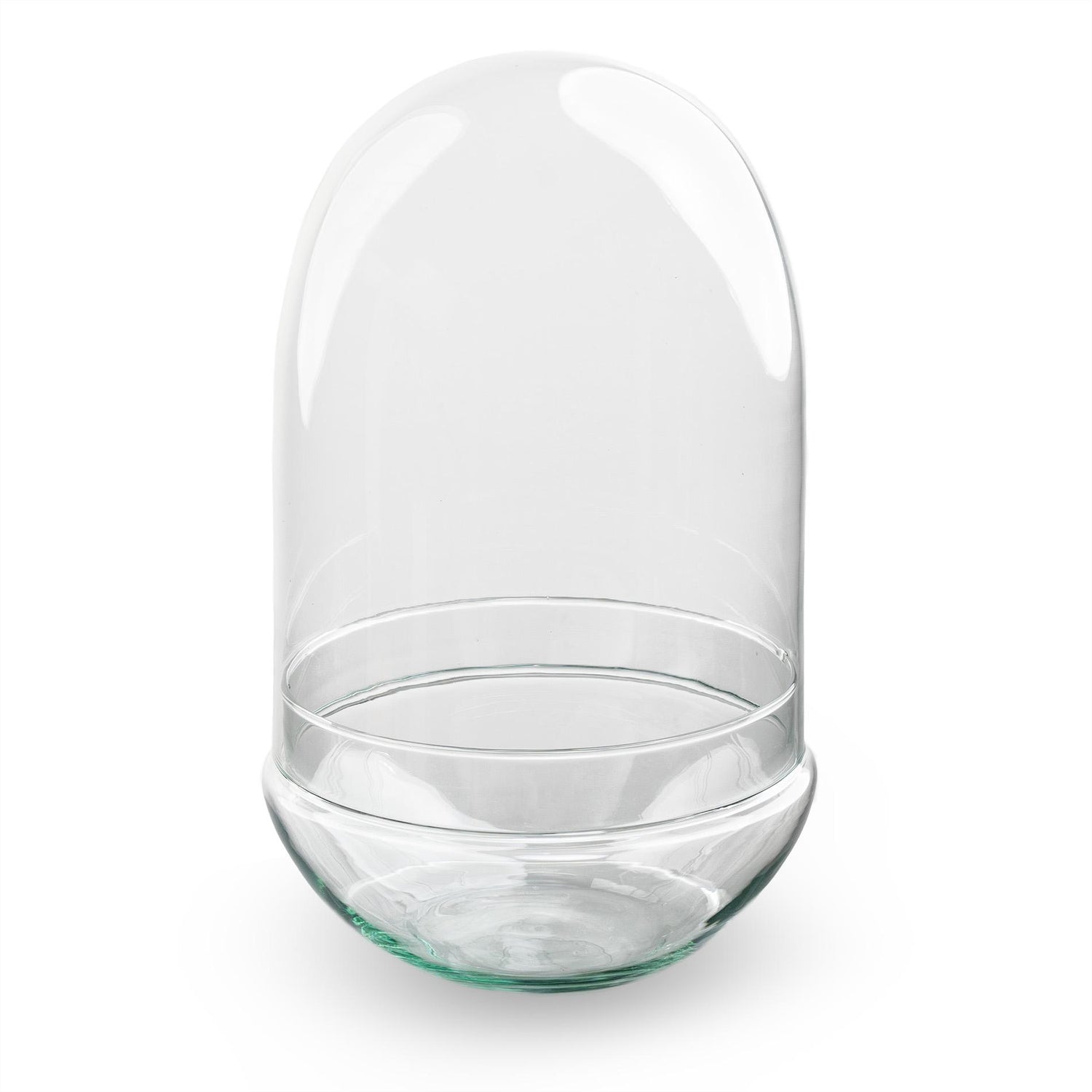 Zweiteilige Everspring Terrariumflasche Ei XL, Durchmesser 17,5 cm, Höhe 30 cm, für Terrarien und Pflanzen.