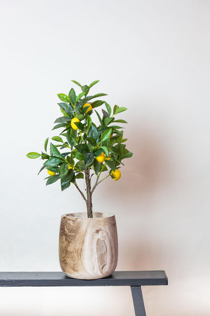 Kunstpflanze Zitronenbaum Citrus Limonia von Everspring, 72 cm hoch, detailreiche grüne Blätter und gelbe Zitronen.