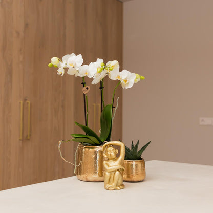 Deko - Skulptur Sitzender Affe - Gold - Wurzelwerk Design