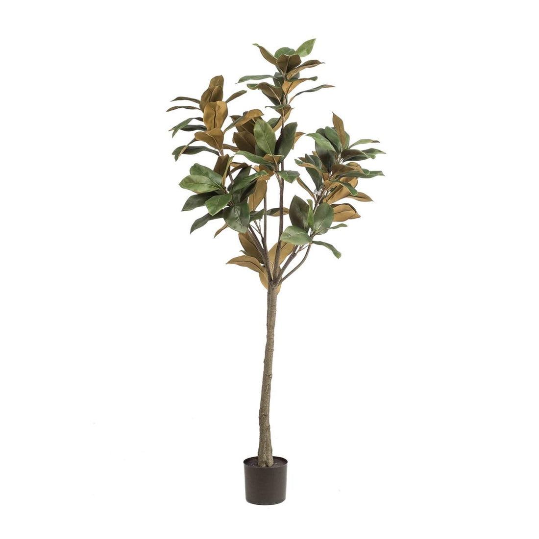 Kunstpflanze Magnolia Denudata, 150 cm, Everspring, mit weißen Blüten und grünen Blättern, realistischer Dekor für Zuhause