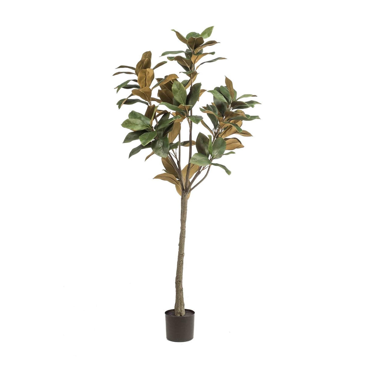 Kunstpflanze Magnolia Denudata, 150 cm, Everspring, mit weißen Blüten und grünen Blättern, realistischer Dekor für Zuhause