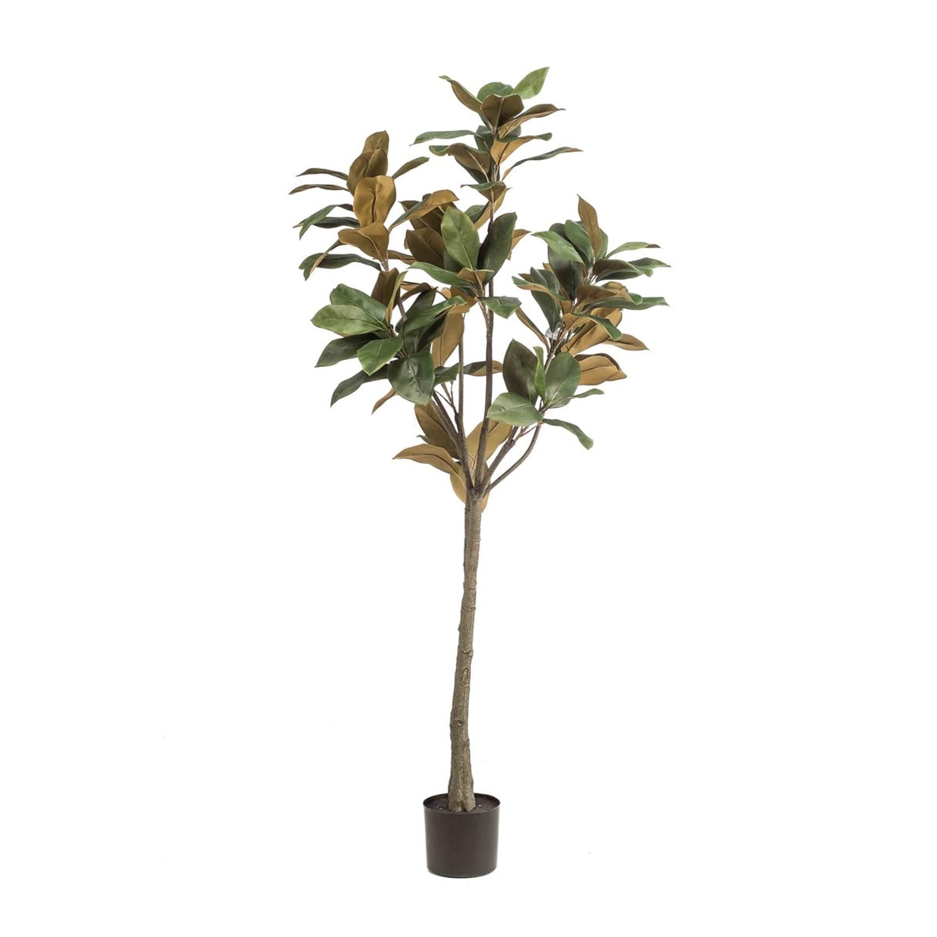 Kunstpflanze Magnolia Denudata, 150 cm, Everspring, mit weißen Blüten und grünen Blättern, realistischer Dekor für Zuhause