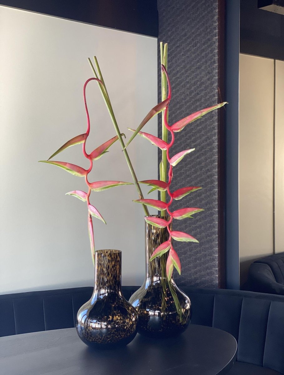 Vase Glas - Seim Gepard - S - H37 x B25 - Wurzelwerk Design