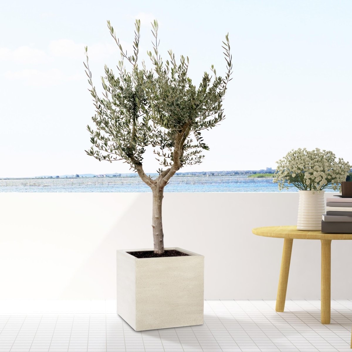 Block Beige Washed - L - D50 x H50 - Wurzelwerk Design