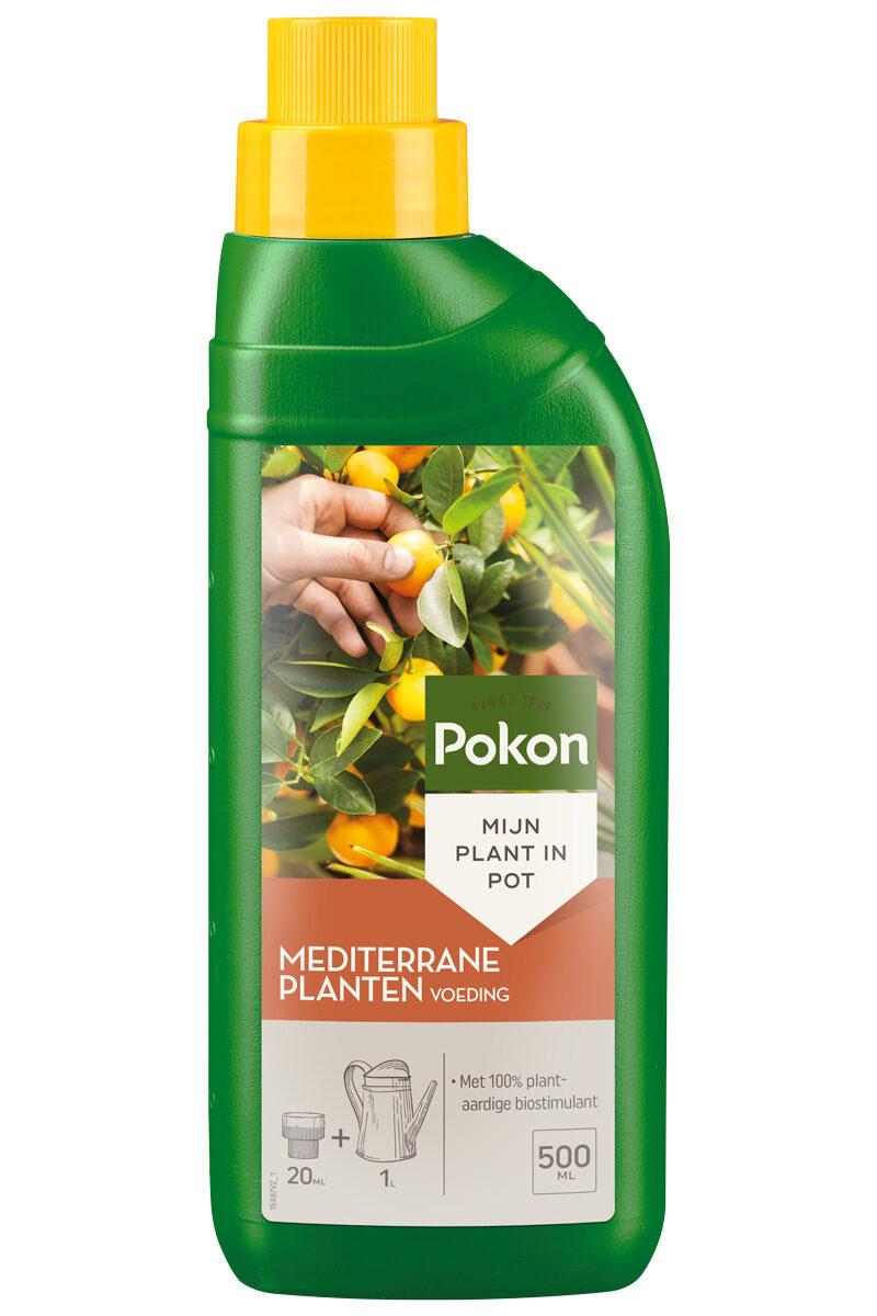 Pokon Mediterrane Pflanzennahrung 500 ml – Flüssigdünger für Olivenbaum, Zitronenbaum &amp; Co. – Kräftiges Wachstum &amp; reiche Blüte - Wurzelwerk Design