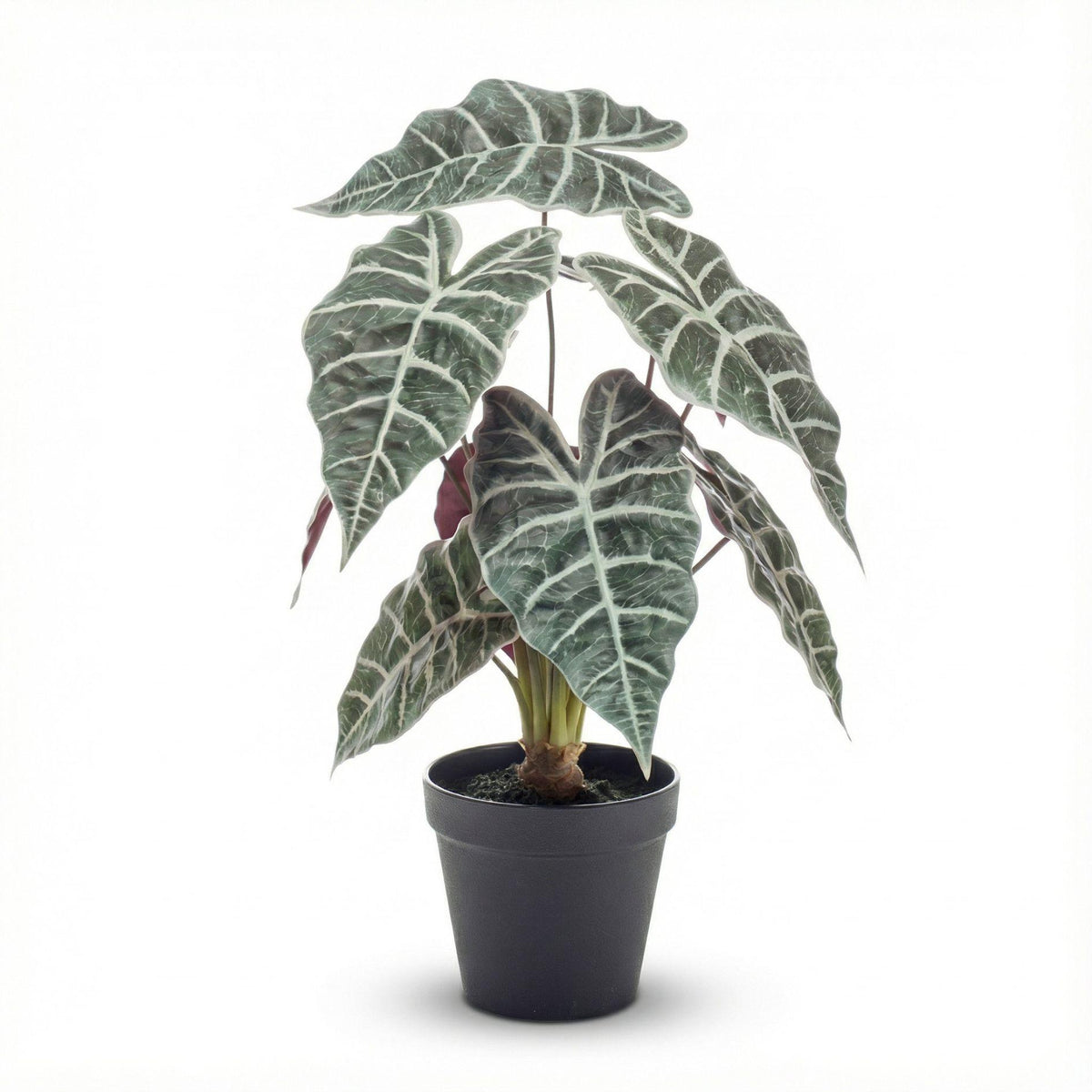 Künstliche Alocasia Busch im Topf, 40 cm, Everspring, grüne Blätter, realistische Pflanze für Dekorationszwecke