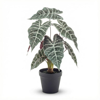 Künstliche Alocasia Busch im Topf, 40 cm, Everspring, grüne Blätter, realistische Pflanze für Dekorationszwecke