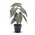 Künstliche Alocasia Busch im Topf, 40 cm, Everspring, grüne Blätter, realistische Pflanze für Dekorationszwecke