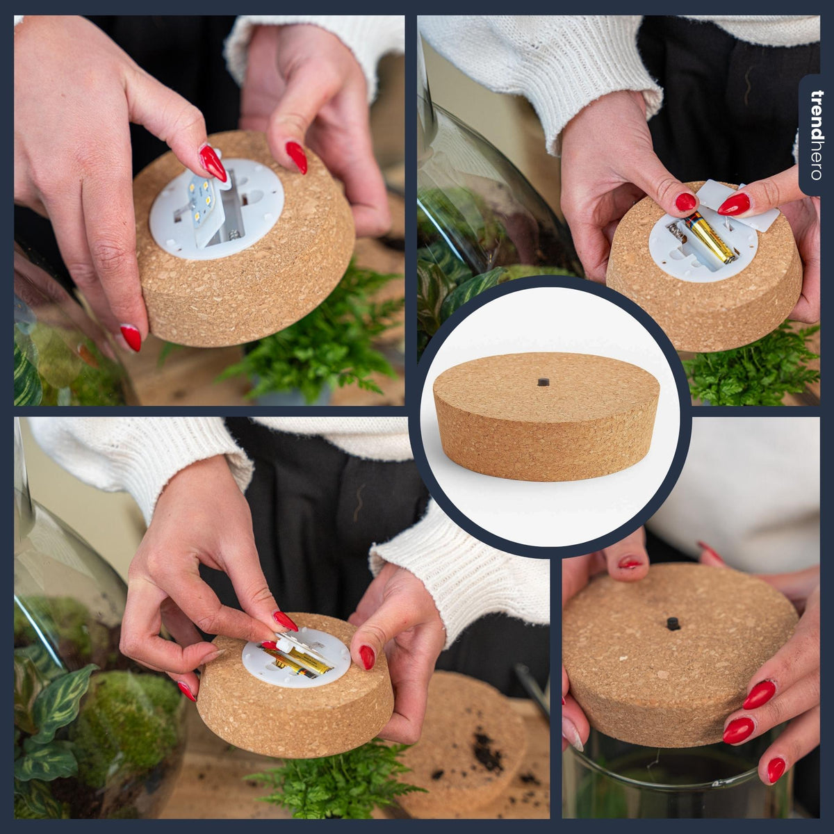 Everspring LED-Kork mit Beleuchtung für Terrarien, 10,3 x 9 x 2,7 cm, mit leuchtender Oberfläche und Naturdesign.