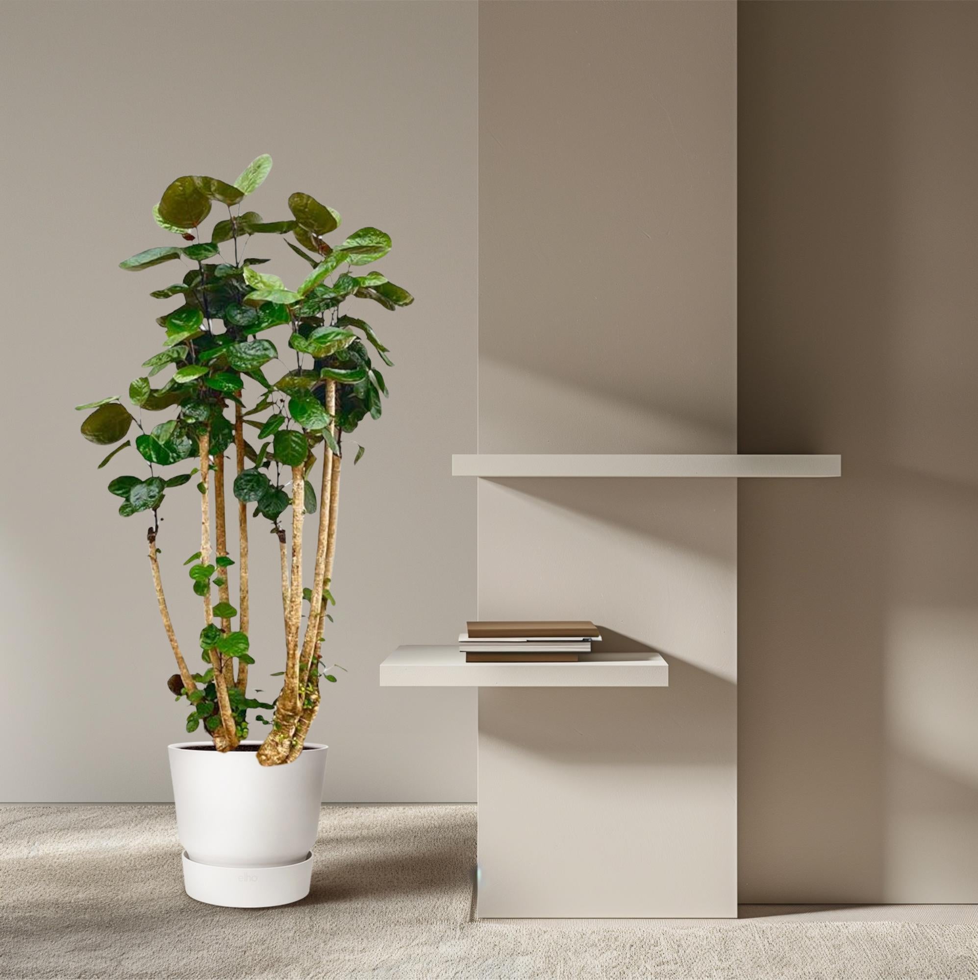 Polysicas Fabian XXL - 160 cm - ⌀30