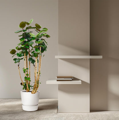 Polysicas Fabian XXL - 160 cm - ⌀30