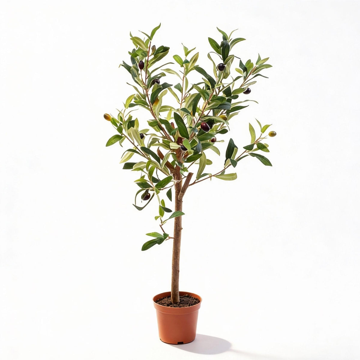 Künstlicher Olivenbaum im Topf, 65 cm, Everspring, detailreiche grüne Blätter und braune Äste, dekorative Pflanze für Innenräume